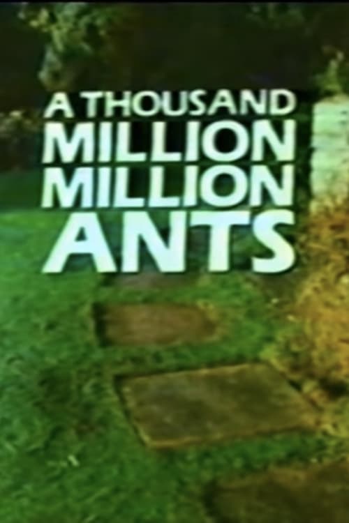 A Thousand Million Million Ants - poster