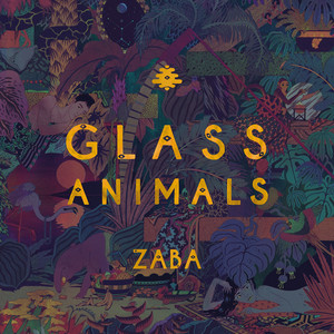 Toes - Glass Animals | Song Album Cover Artwork