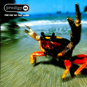 Mindfields - The Prodigy | Song Album Cover Artwork