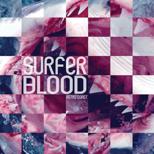 Harmonix Surfer Blood | Album Cover