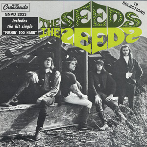 Can't Seem to Make You Mine - The Seeds | Song Album Cover Artwork