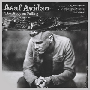 Twisted Olive Branch - Asaf Avidan | Song Album Cover Artwork