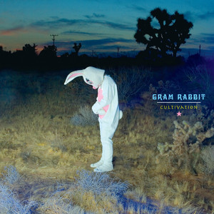 Bloody Bunnies (Superficiality) - Gram Rabbit | Song Album Cover Artwork