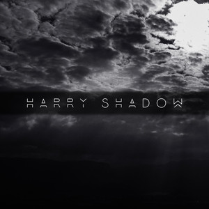 Flicker (feat. Chi) - Harry Shadow