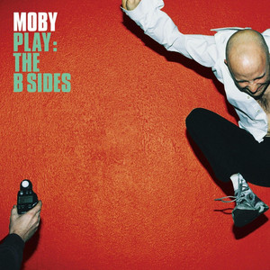 Flying Foxes - Moby | Song Album Cover Artwork
