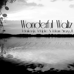 Waltz No. 7 in C-Sharp Minor, Op. 64, No. 2 - İdil Biret | Song Album Cover Artwork