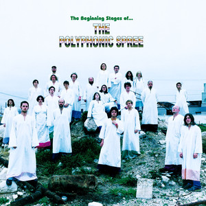 Light and Day / Reach for the Sun - The Polyphonic Spree | Song Album Cover Artwork