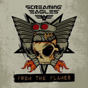 Rock N Roll Soul Screaming Eagles | Album Cover