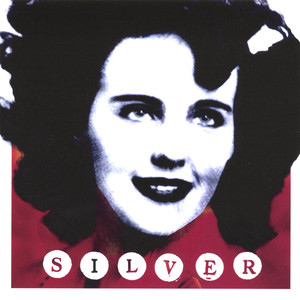 Did I Lose You There? - Silver | Song Album Cover Artwork
