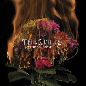 In The End The Stills | Album Cover