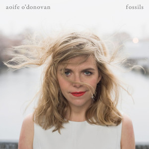 Red & White & Blue & Gold - Aoife O'Donovan | Song Album Cover Artwork
