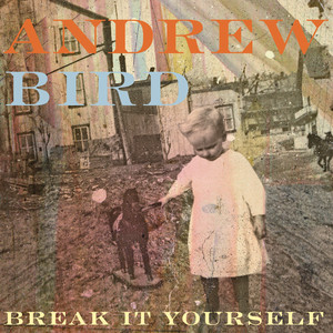 Danse Caribe - Andrew Bird | Song Album Cover Artwork