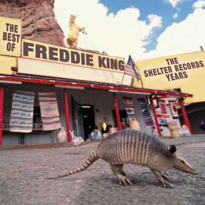 Going Down - Freddie King | Song Album Cover Artwork