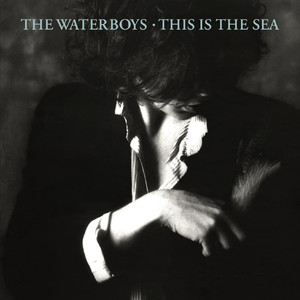 This Is the Sea The Waterboys | Album Cover
