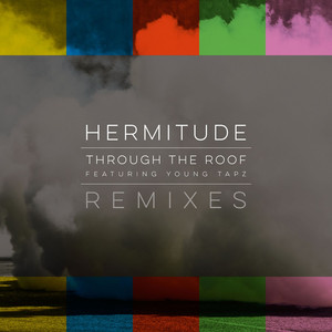 Through the Roof (feat. Young Tapz) - Hermitude | Song Album Cover Artwork