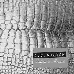 Y'all'd Think She'd Be Good 2 Me - C.C. Adcock | Song Album Cover Artwork