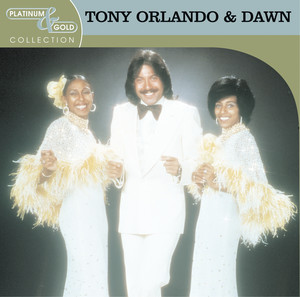 A Yellow Ribbon 'Round The Ole Oak Tree - Tony Orlando and Dawn | Song Album Cover Artwork