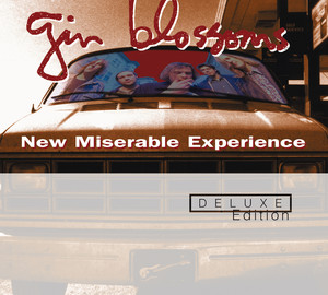 Found Out About You - Gin Blossoms | Song Album Cover Artwork