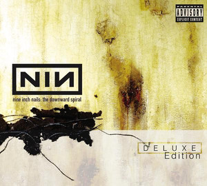 Hurt - Nine Inch Nails | Song Album Cover Artwork