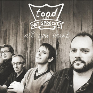 Crazy Life - Toad the Wet Sprocket | Song Album Cover Artwork