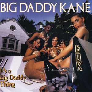 Warm It Up Kane - Big Daddy Kane | Song Album Cover Artwork