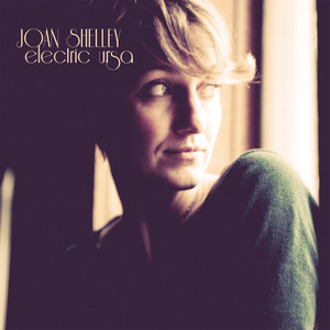 Something Small - Joan Shelley | Song Album Cover Artwork