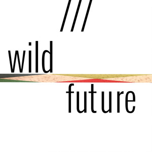 Glitter & Gold (Instrumental) - Wild Future | Song Album Cover Artwork