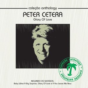 No Explanations - Peter Cetera | Song Album Cover Artwork