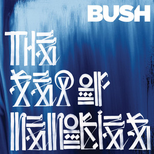 The Mirror Of The Signs - Bush | Song Album Cover Artwork
