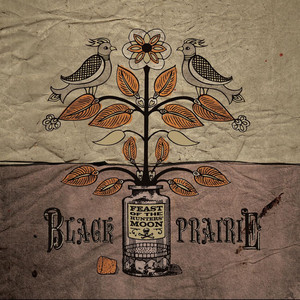Red Rocking Chair - Black Prairie | Song Album Cover Artwork