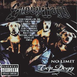 Down 4 My N's - C-Murder, Magic & Snoop Dogg | Song Album Cover Artwork