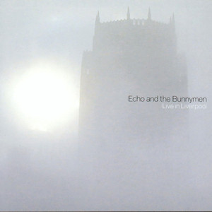 The Cutter - Echo & The Bunnymen | Song Album Cover Artwork