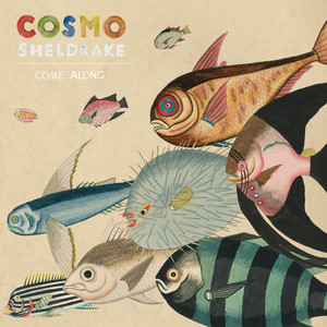 Come Along Cosmo Sheldrake | Album Cover