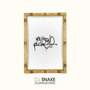 You Know You Like it (Tchami Remix) [feat. Aluna George] - DJ Snake | Song Album Cover Artwork