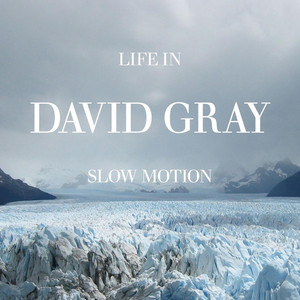 Disappearing World David Gray | Album Cover