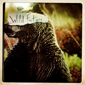 So Electric - Wild Future | Song Album Cover Artwork