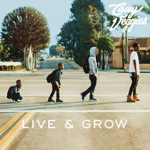 Tied Up (feat. DeJ Loaf) Casey Veggies | Album Cover