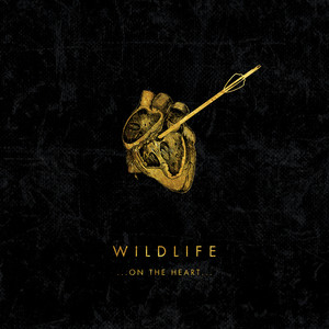 Dangerous Times Wildlife | Album Cover