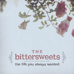 When The World Ends - The Bittersweets | Song Album Cover Artwork