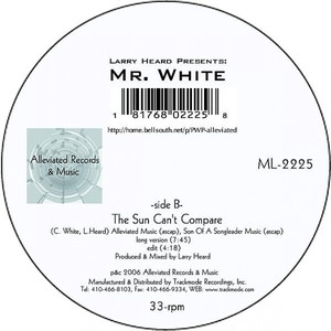 You Rock Me Larry Heard & Mr. White | Album Cover