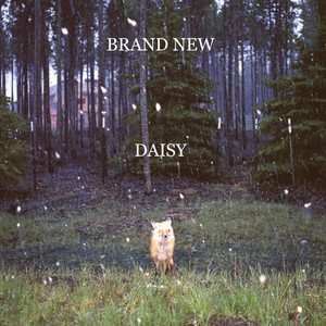 Daisy - Brand New | Song Album Cover Artwork