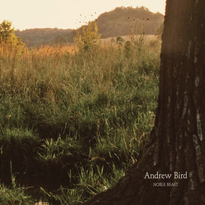 Tenuousness - Andrew Bird | Song Album Cover Artwork