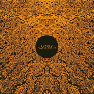 Flashlight - Bonobo | Song Album Cover Artwork