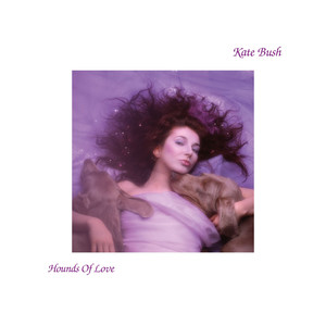 Cloudbusting - Kate Bush | Song Album Cover Artwork