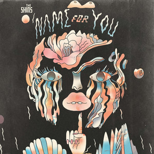 Name for You - The Shins | Song Album Cover Artwork