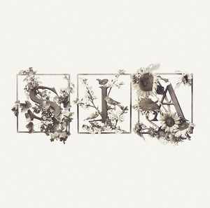 Butterflies - Sia | Song Album Cover Artwork
