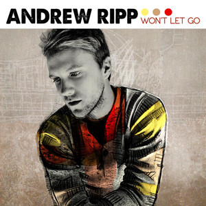 When You Fall in Love - Andrew Ripp | Song Album Cover Artwork