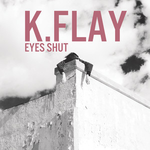Easy Fix - K.Flay | Song Album Cover Artwork