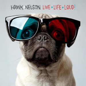 Live Life Loud - Hawk Nelson