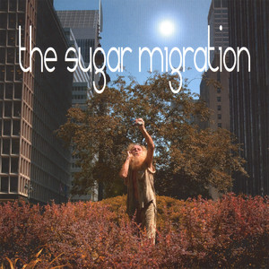 Circles - The Sugar Migration | Song Album Cover Artwork